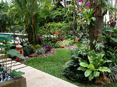 Gardening and maintenance