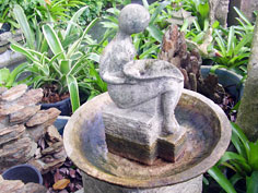 Garden Ornamental